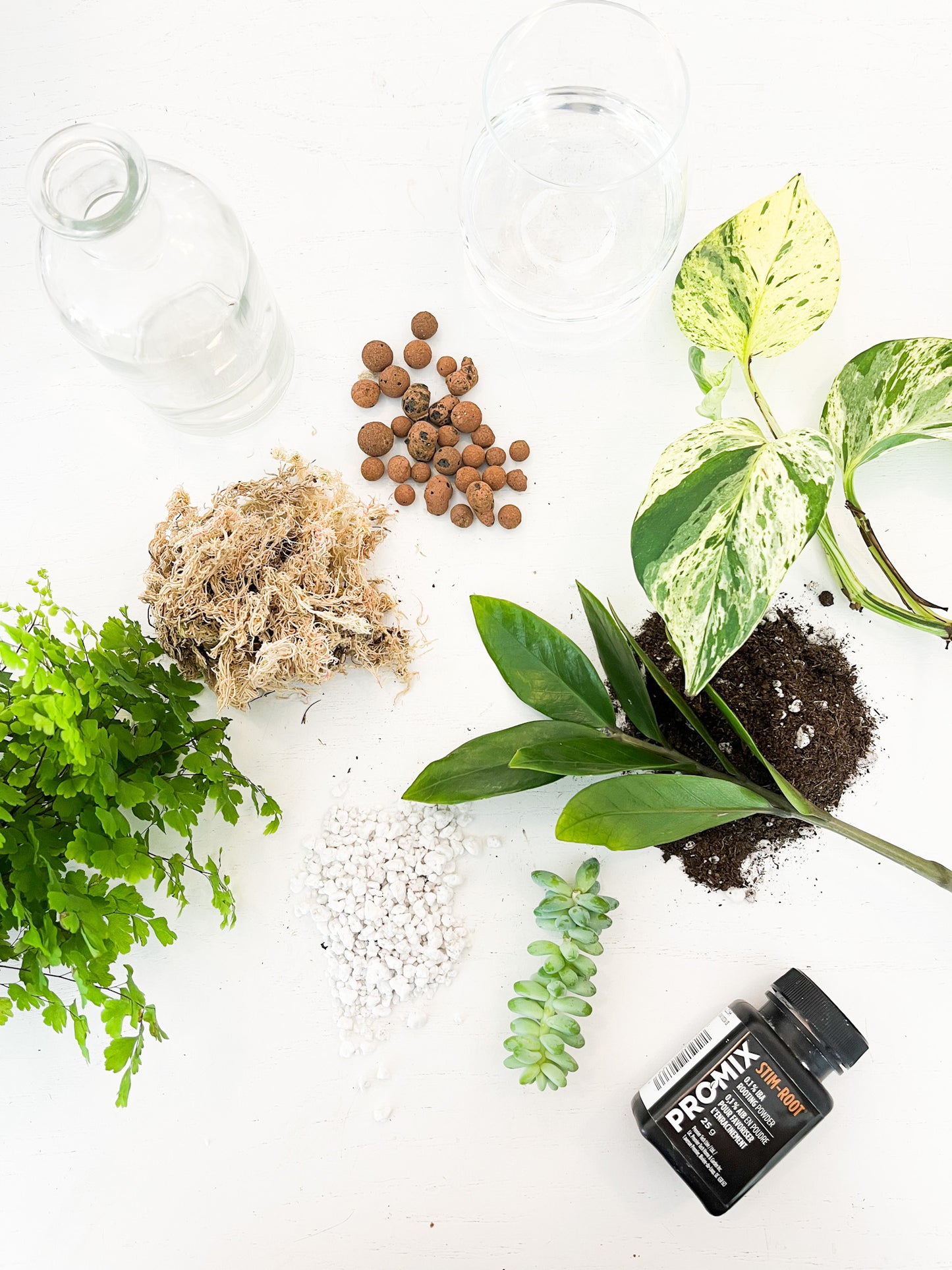 Abonnement - Le club des plant parents