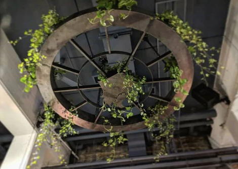 Bars and restaurants in Montreal