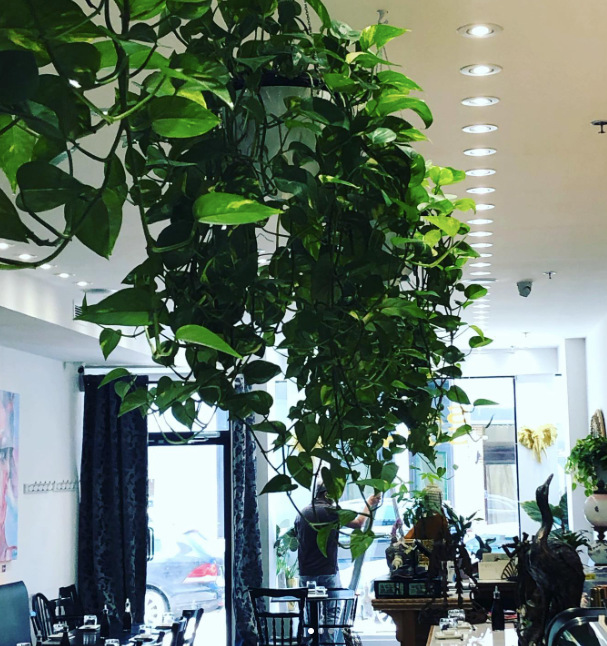 Bars and restaurants in Montreal