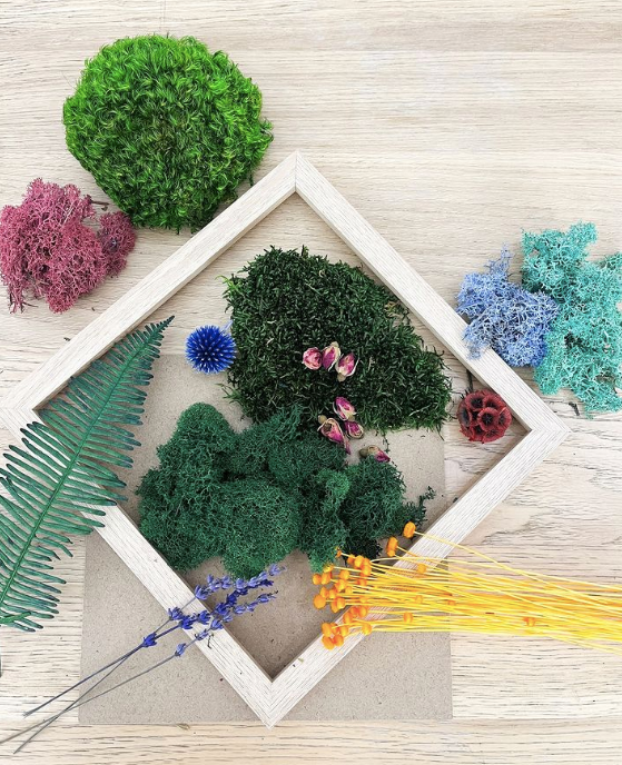 Make your own preserved moss frame