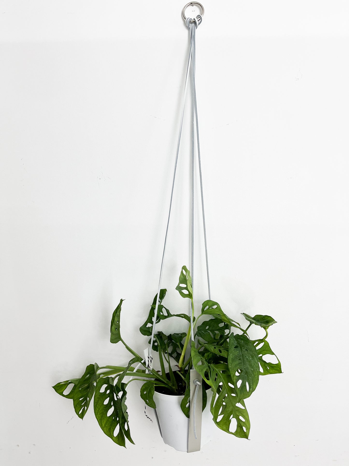 Minimalist leather planter 40".