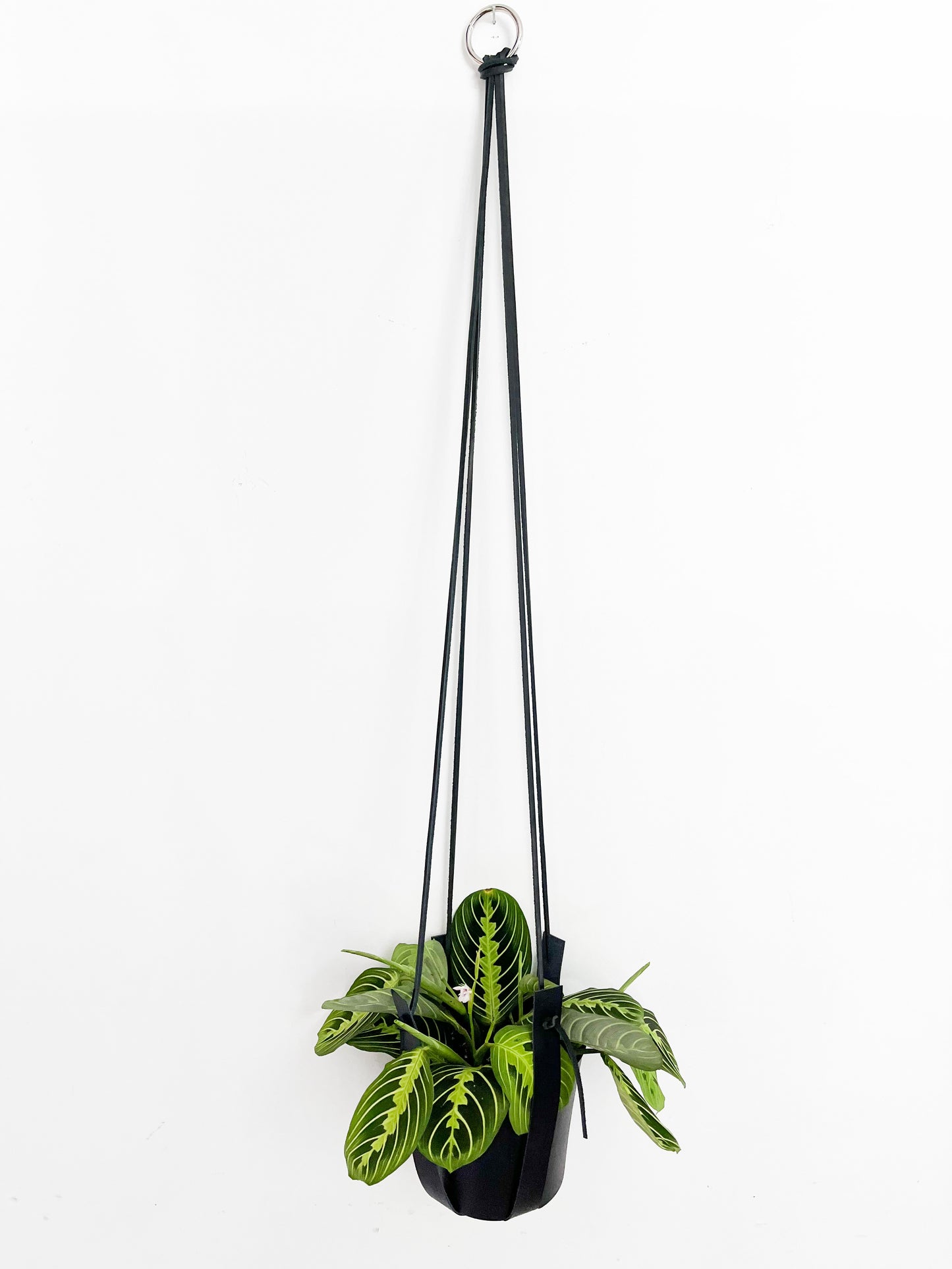 Minimalist leather planter 40".