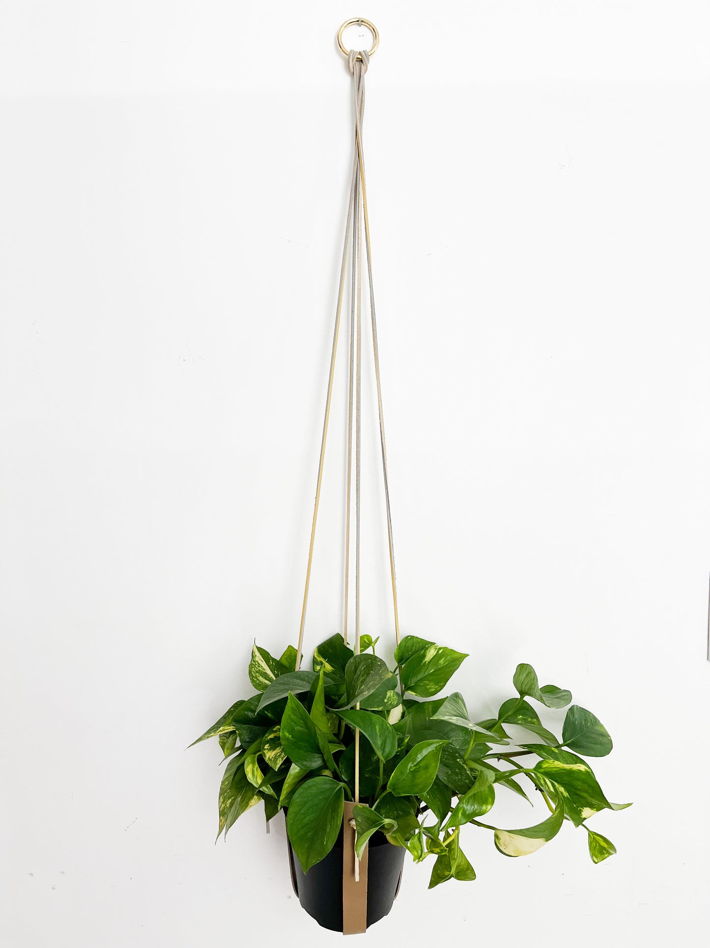 Minimalist leather planter 40".