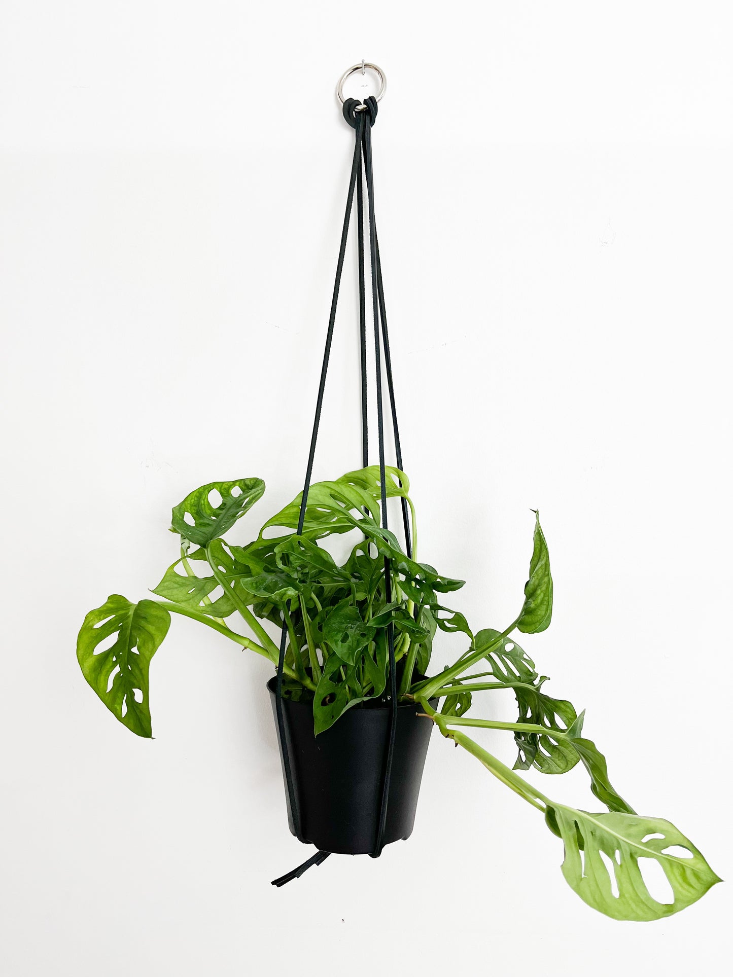 Jardinière minimaliste en cuir 30"