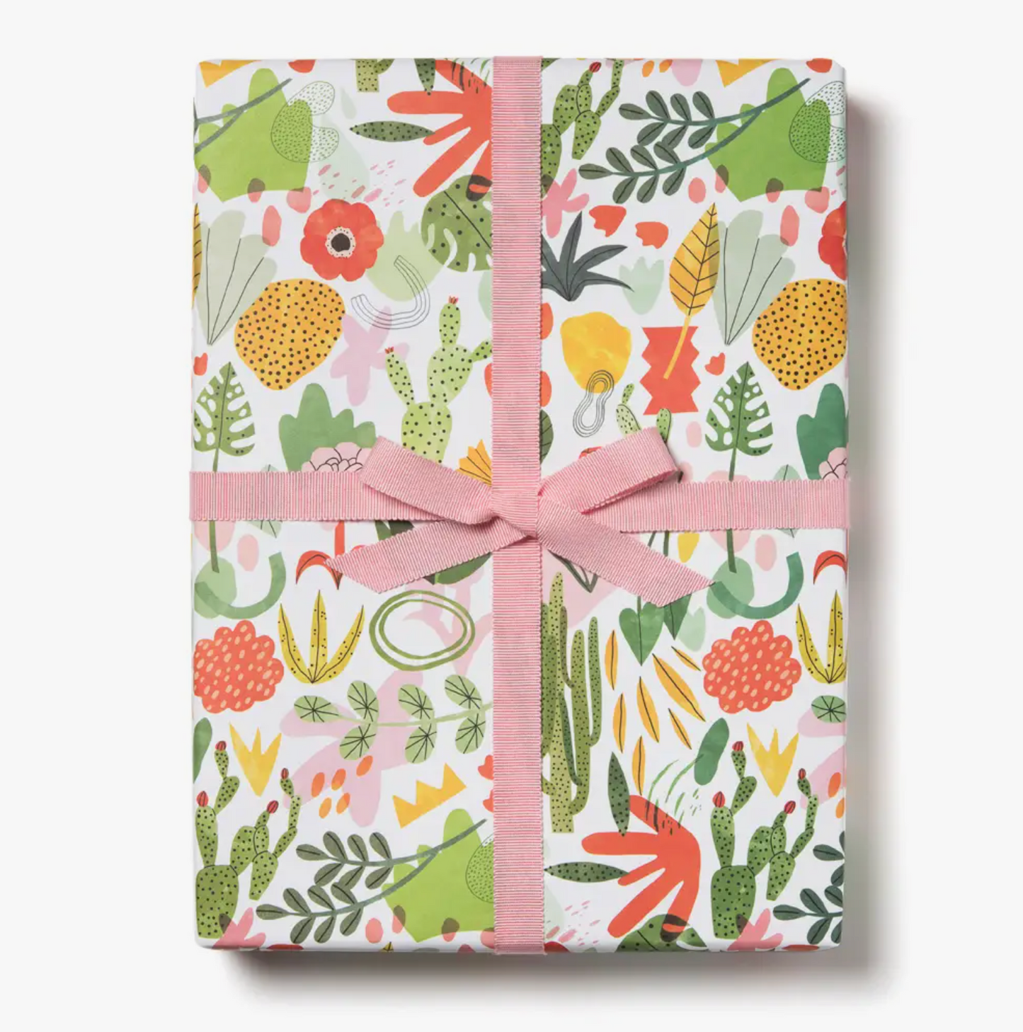 Rouleau Papier cadeau - Jardin de plantes grasses