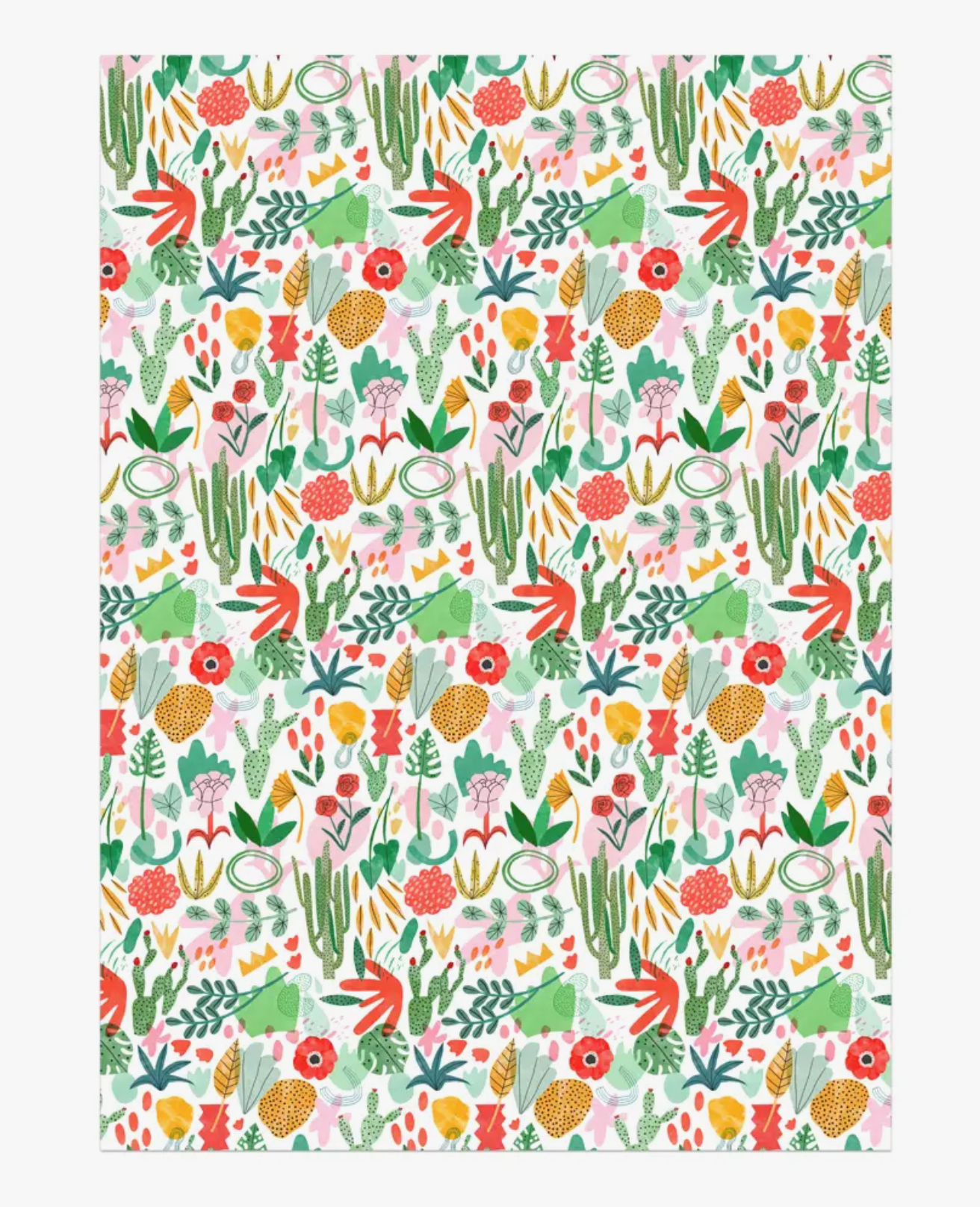 Rouleau Papier cadeau - Jardin de plantes grasses