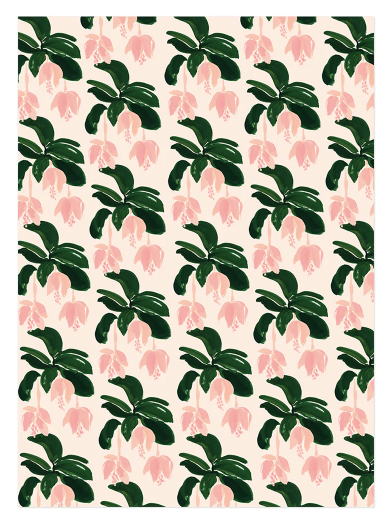 Medinilla wrapping paper
