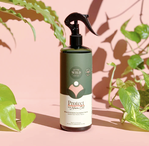 We The Wild natural insecticide for houseplants