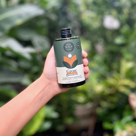 Engrais liquide concentré pour plantes d’intérieur par We The Wild - 236 ml