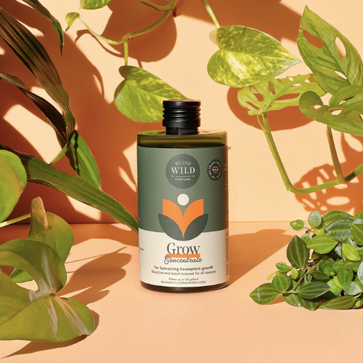 Engrais liquide concentré pour plantes d’intérieur par We The Wild - 236 ml