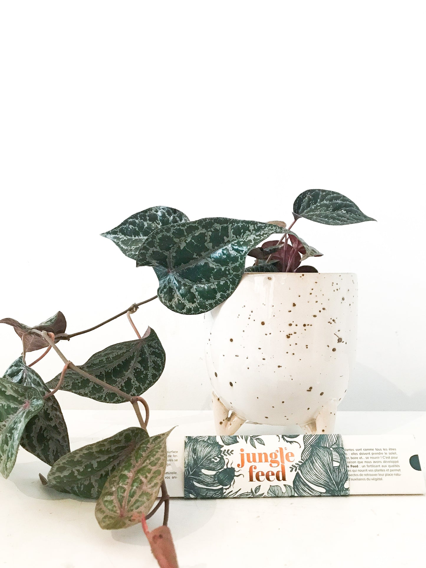 Engrais Jungle Feed