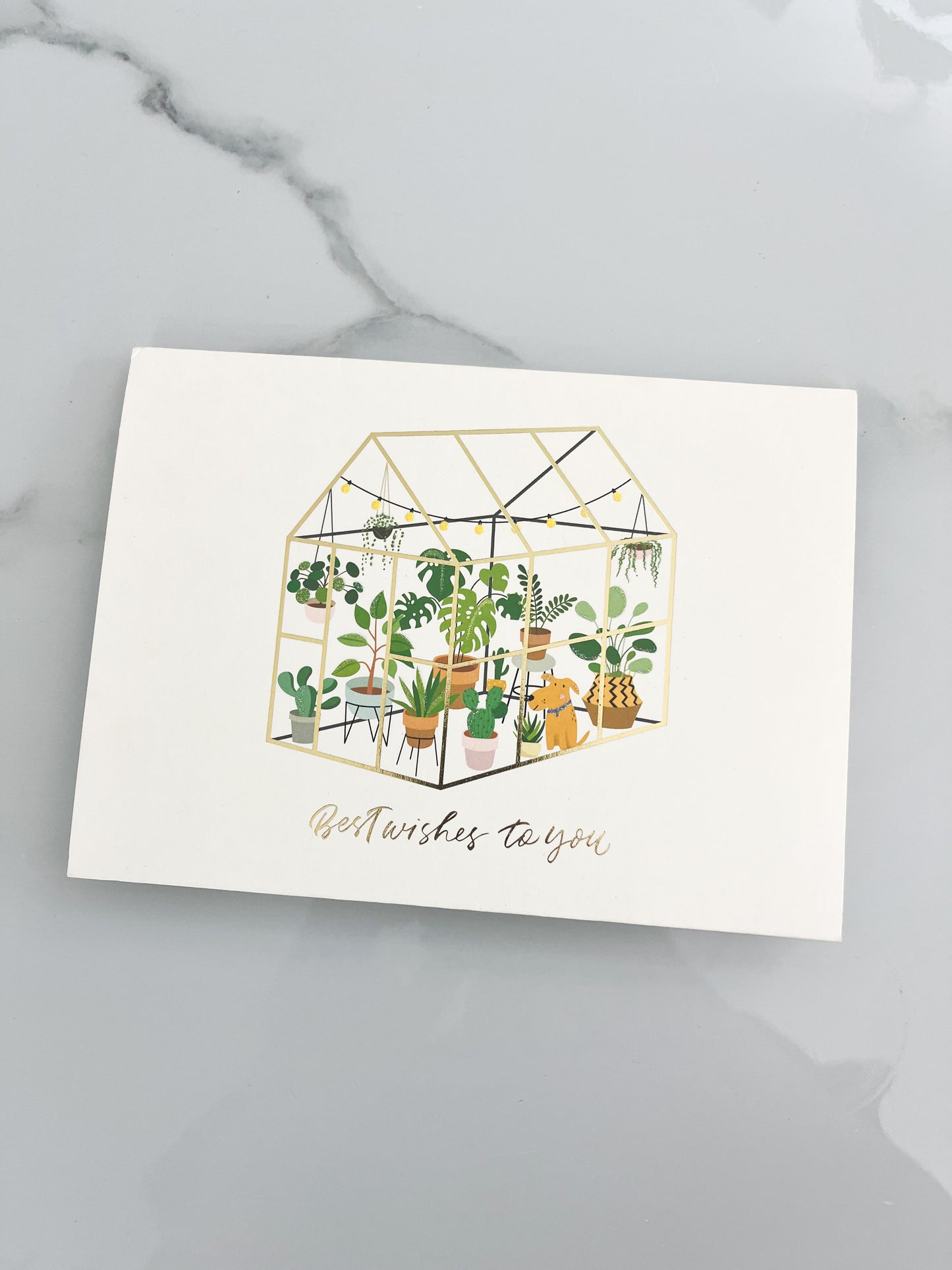 Carte de souhaits - La boutique de plantes