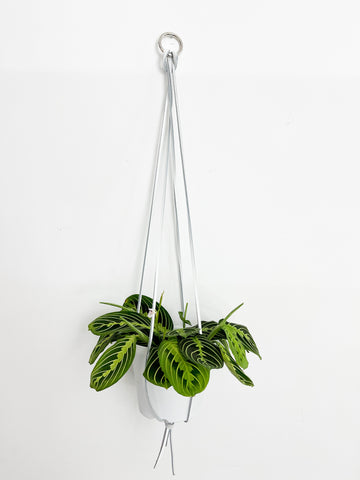 Jardinière minimaliste en cuir 30"