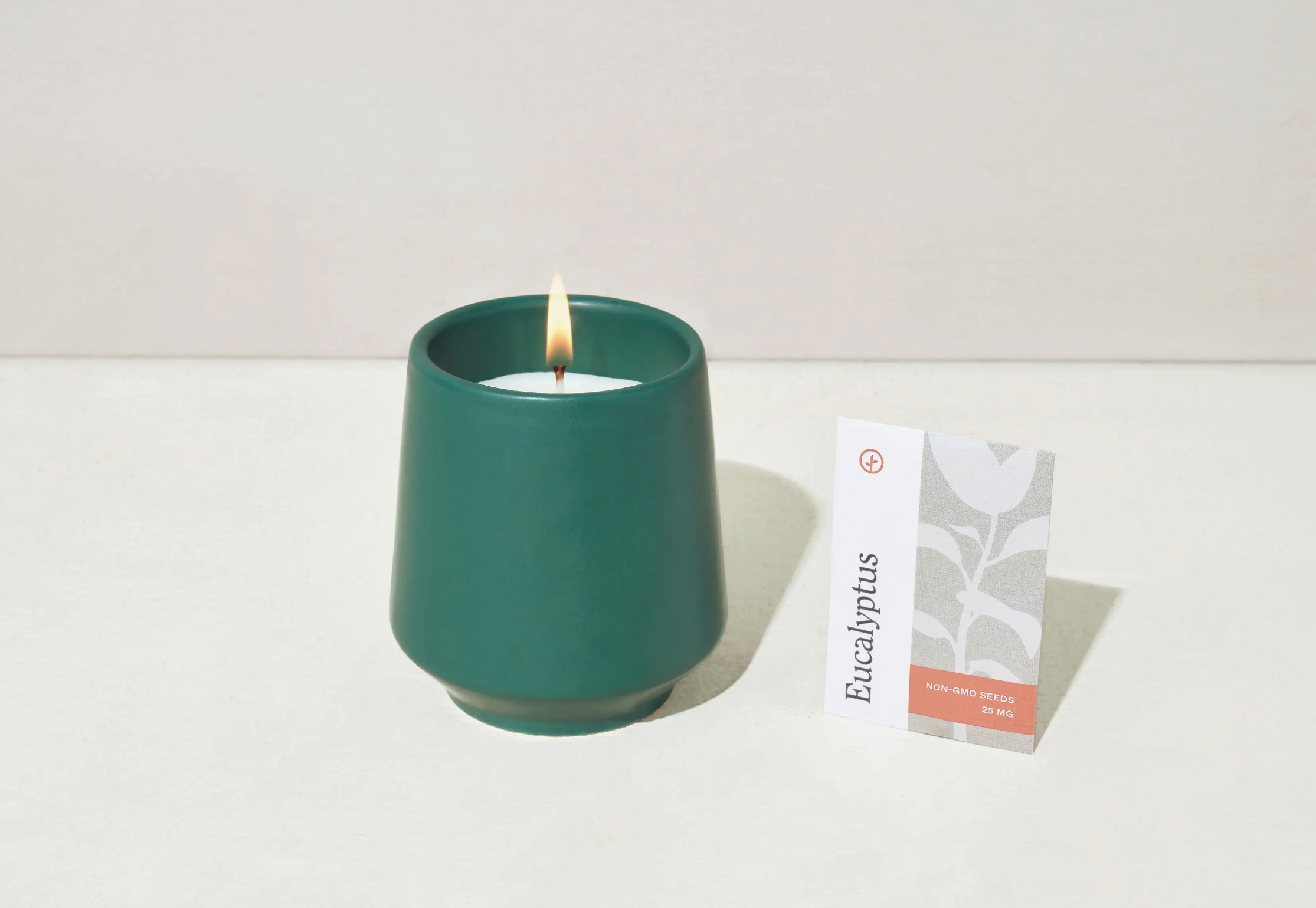 Double life candle - Thyme and tonka bean