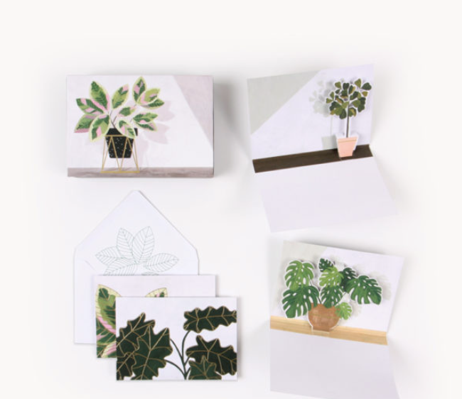 Boîtes de cartes de souhaits 3D - plantes en pots
