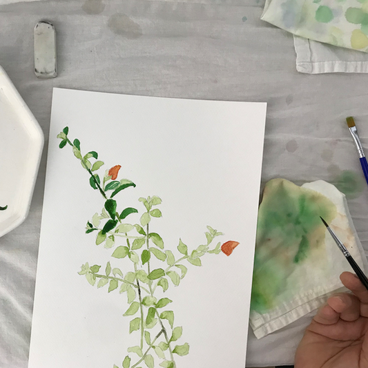 Botanical watercolor workshop