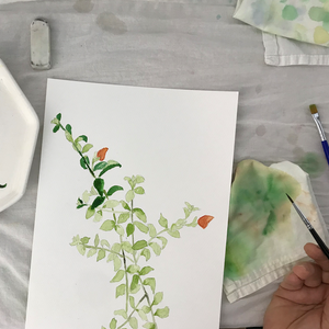 Botanical watercolor workshop
