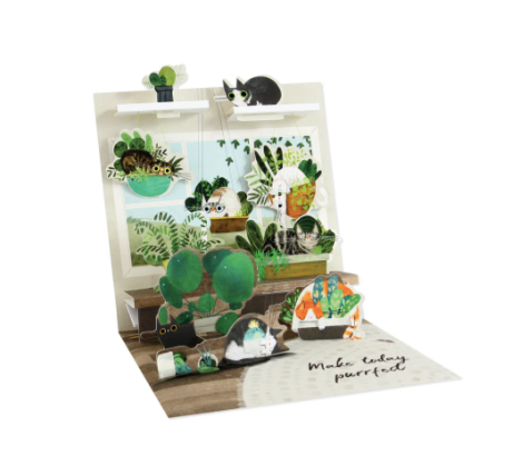 Carte de souhait - Chats et plantes