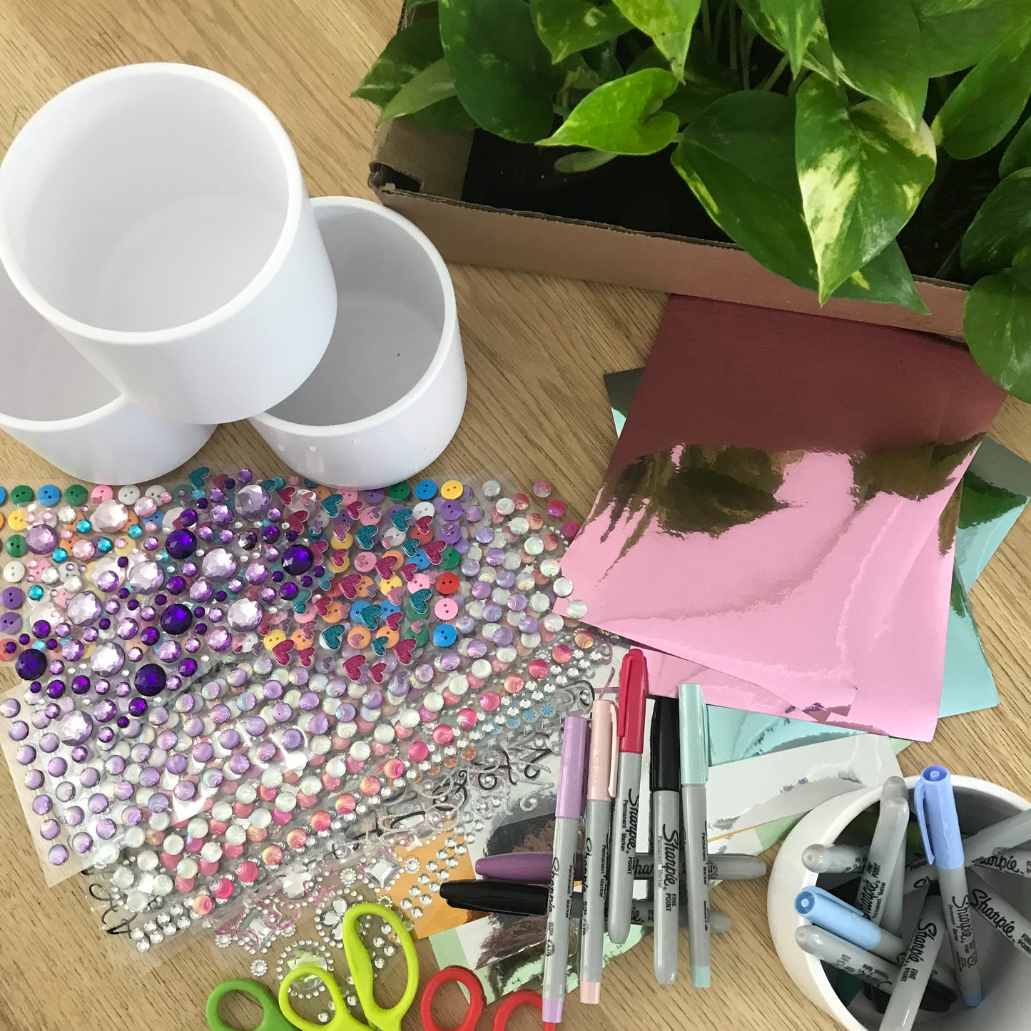 Atelier créatif - Décore ton pot et adopte une plante