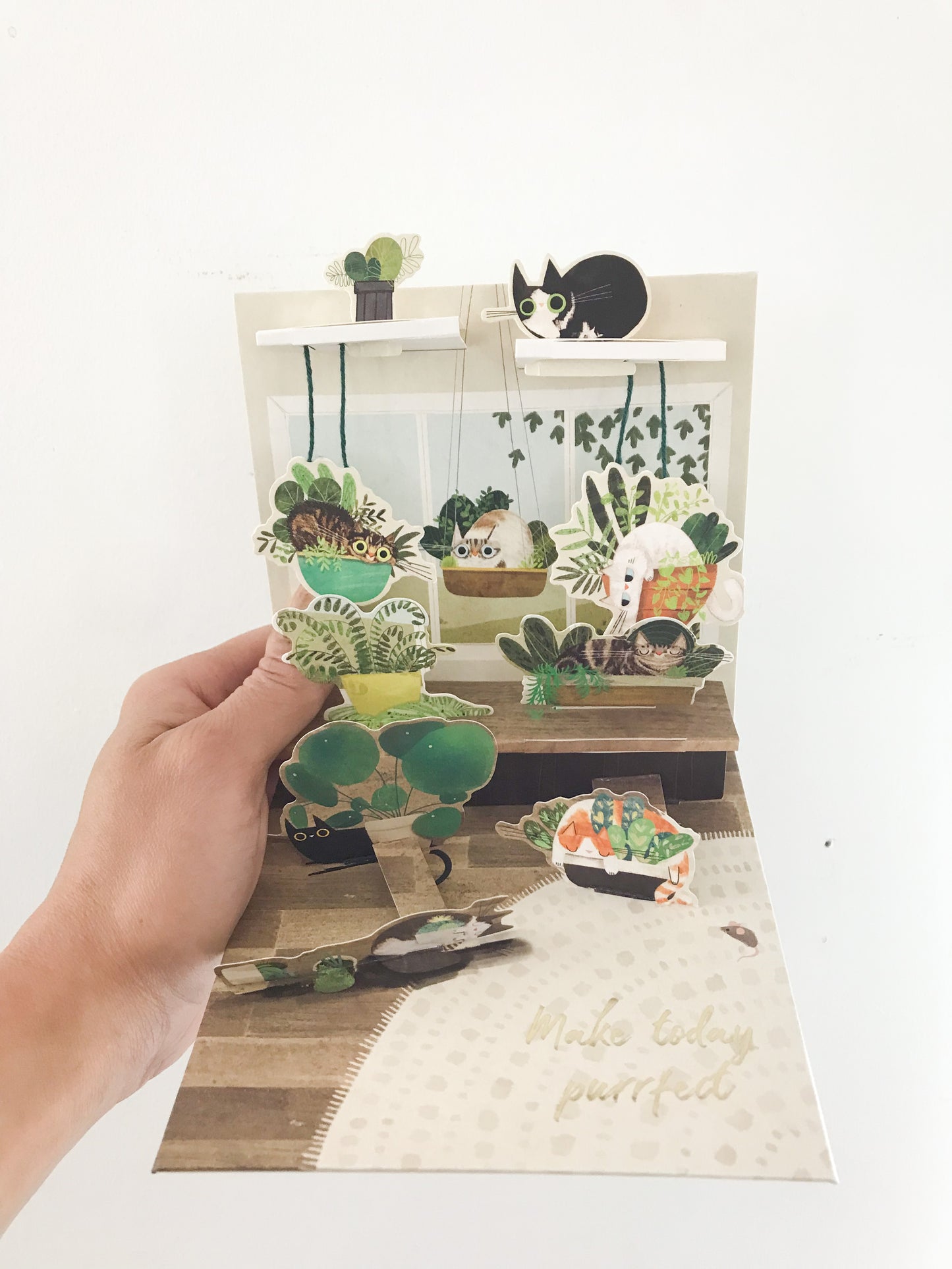 Carte de souhait - Chats et plantes