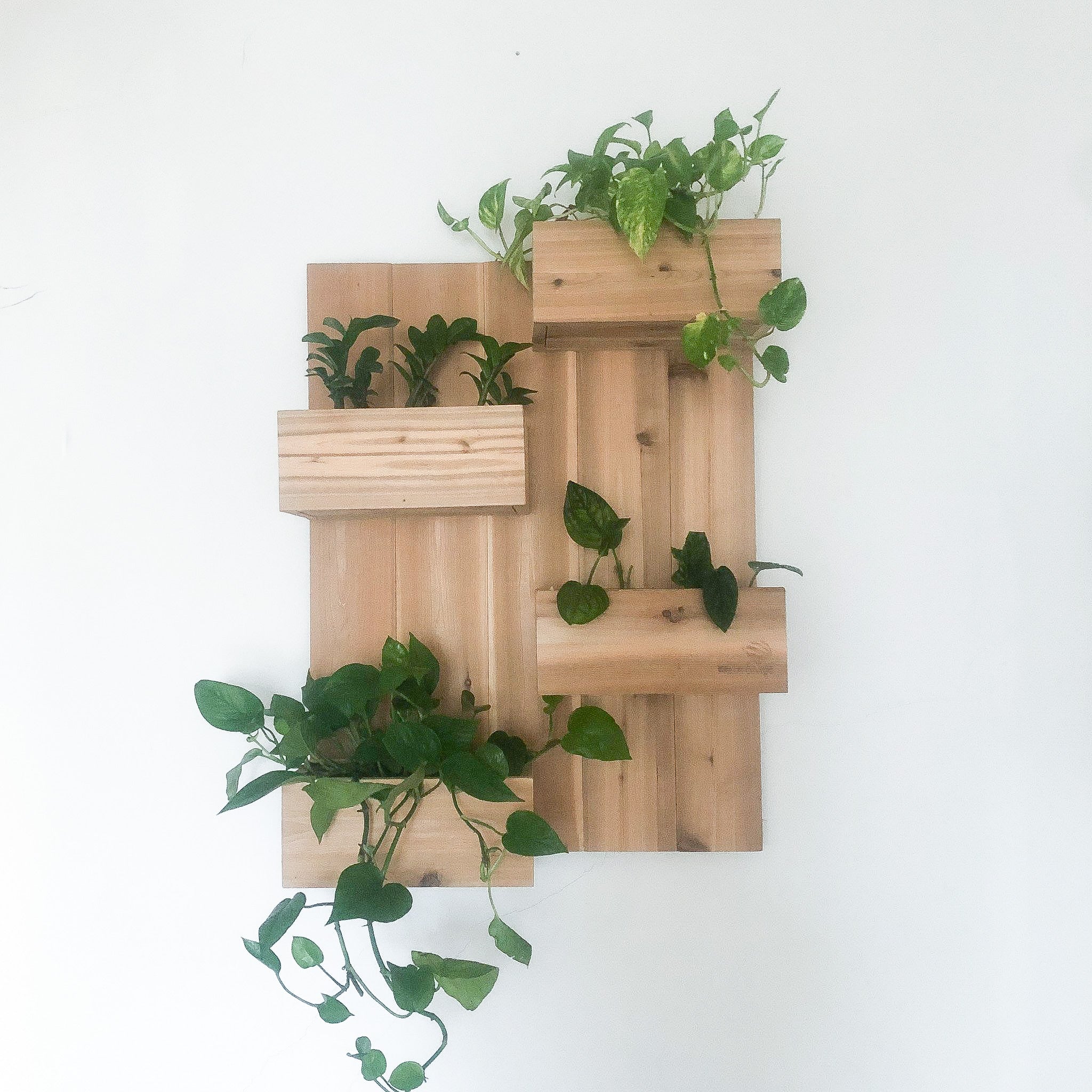 24" x 32" wall structure with plants